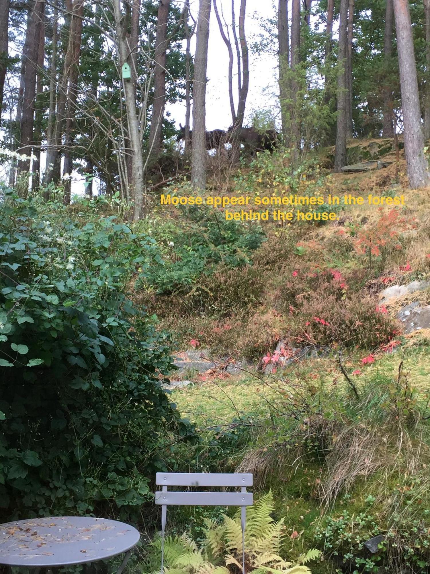 House With Green Garden, Goeteborg, 6 Beds Lindome Ngoại thất bức ảnh